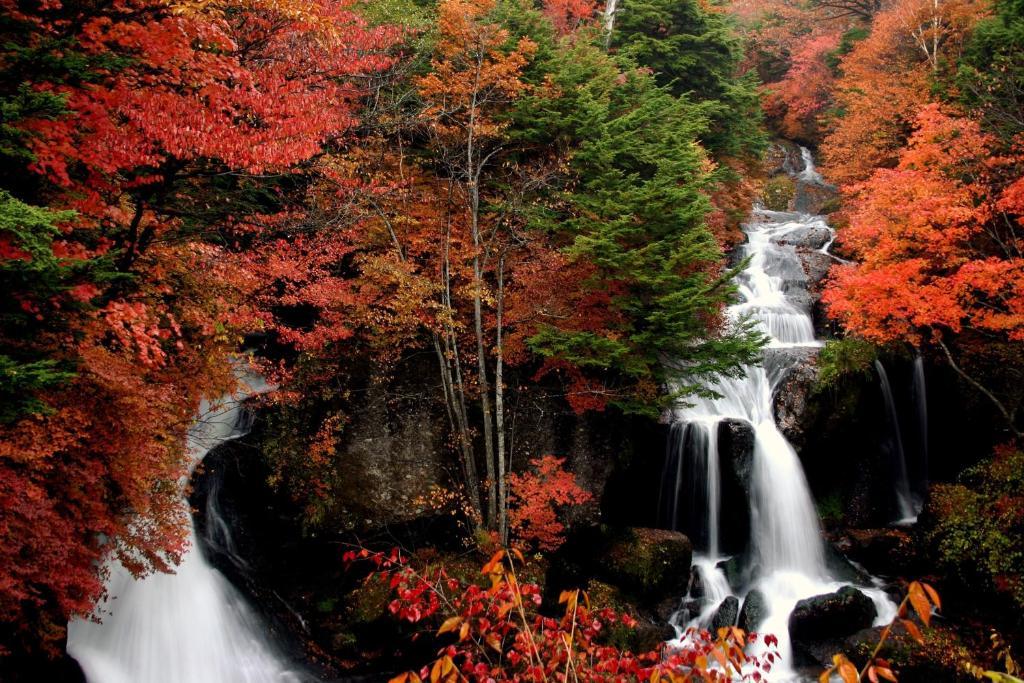 Nikko Pension L'Escale المظهر الخارجي الصورة